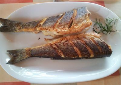 Vpliv stresa in prehrane